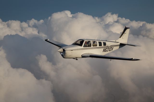 Beechcraft Bonanza (36) (N6310V)