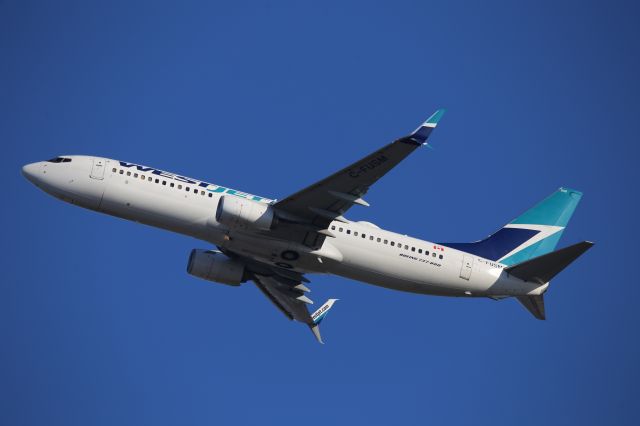 Boeing 737-800 (C-FUSM)