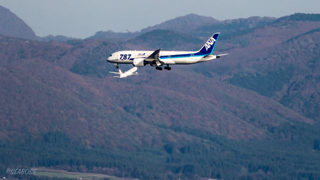 Boeing 787-8 (JA810A) - ANA JA810Abr /87-8 Dreamliner / 787-881 br /photographed it from Mount Hakodate. br /October.19.2015 Hakodate Airport [HKD/RJCH] JAPAN