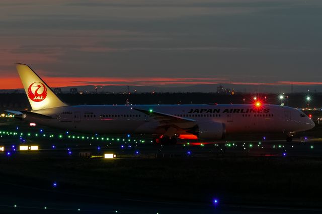 Boeing 787-9 Dreamliner (JA880J)