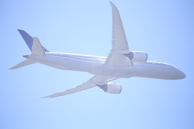 Boeing 787-9 Dreamliner (N45956)