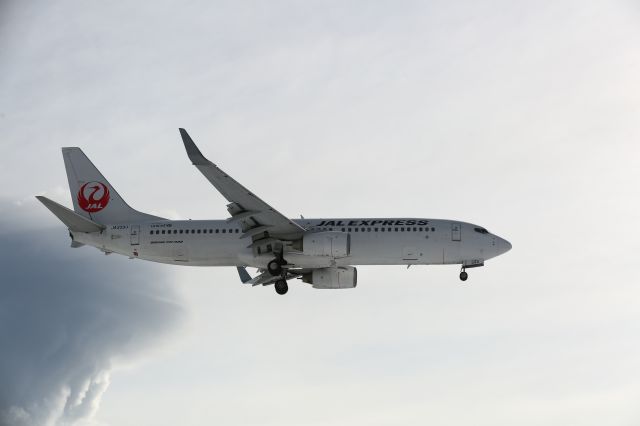 Boeing 737-800 (JA333J) - 24 January 2016:HKD-HND.