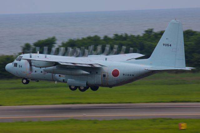 Lockheed C-130 Hercules (61-9054)