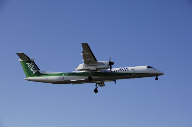 JA856A — - Final Approach to NRT Airport Runway 34R on 2011/12/30 Green Eco c/s