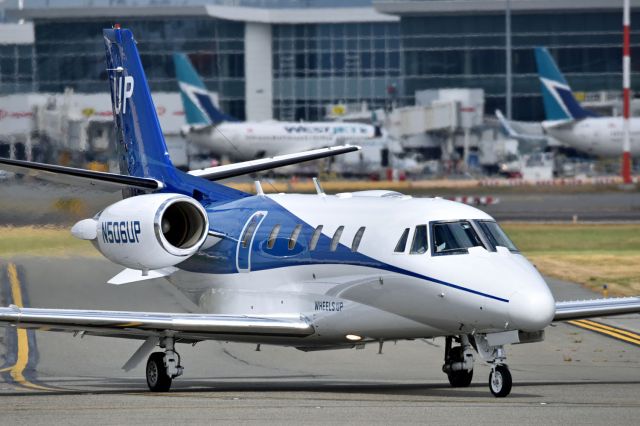 Cessna Citation V (N506UP)