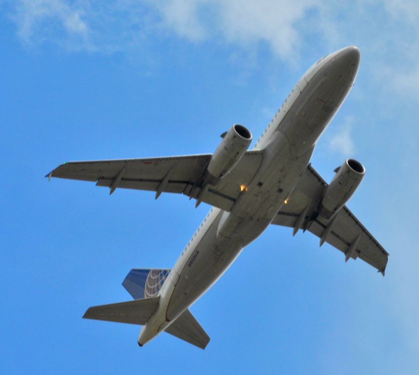 Airbus A319 (N832UA)