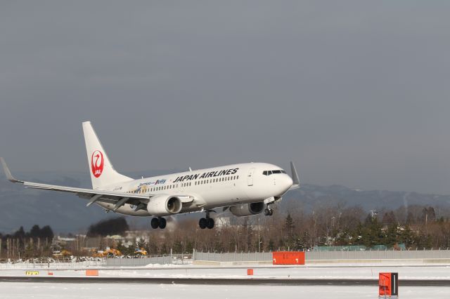 Boeing 737-800 (JA327J) - 17 January 2015:HND-HKD.