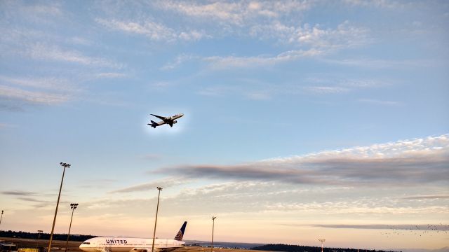 Boeing 777-200 (N850FD) - July 9th approx. 6 am,  I took 7 pictures in a row. I cant explain why the halo around the plane.