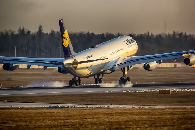 Airbus A340-300 (D-AIGT)