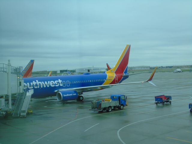 Boeing 737-800 (N8644C) - Southwest 737-800 at KDAL waiting for a flight out to Phoenix on November 7th, 2015