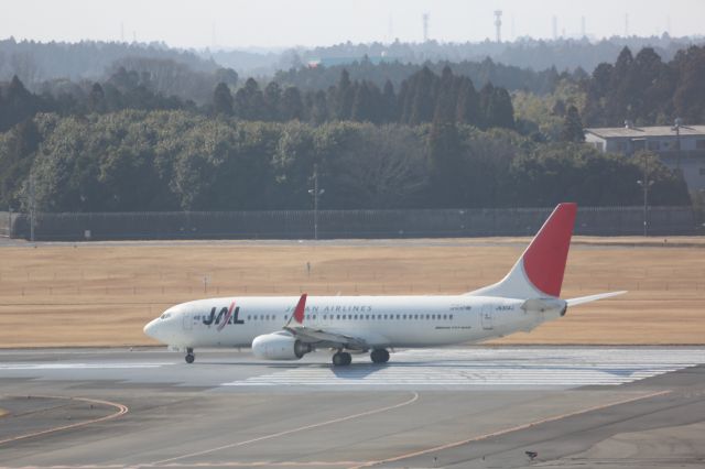 Boeing 737-800 (JA304J)