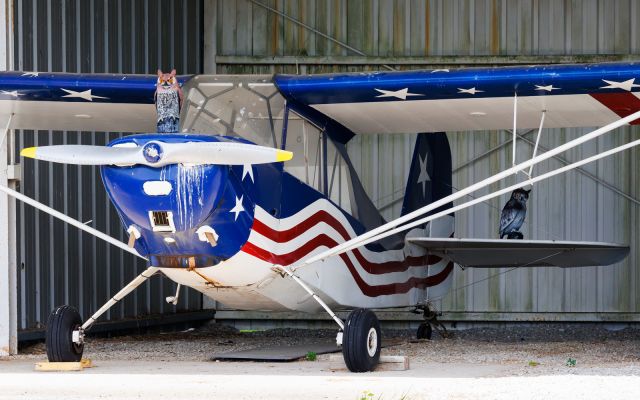 Cessna Skyhawk (N37JC)