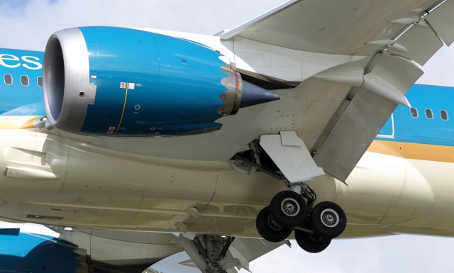 Boeing 787-9 Dreamliner — - Vietnam Airlines port engine, B789, with noise reduction Chevrons on the trailing edge of the cowling/nacelle.