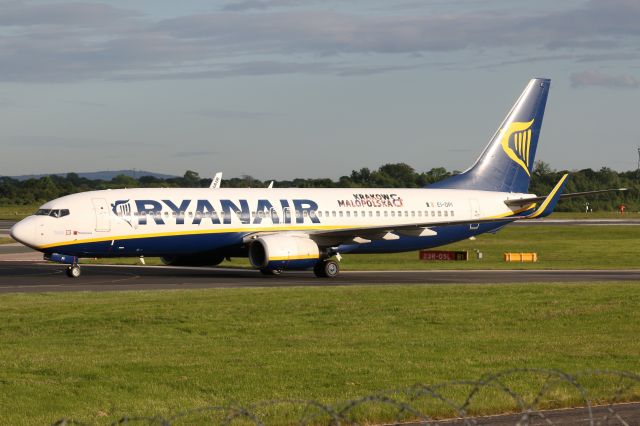 Boeing 737-800 (EI-DPI) - Ryanair Special colours