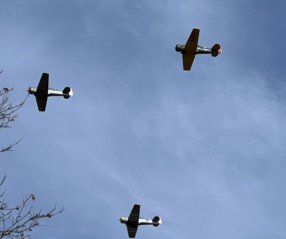 North American T-6 Texan (N52BA)
