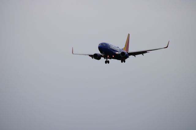 Boeing 737-700 (N445WN)