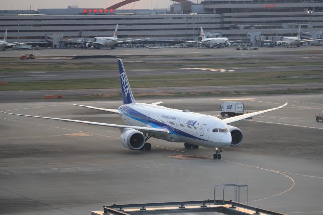 Boeing 787-9 Dreamliner (JA888A) - April 14th 2019:SIN-HND.