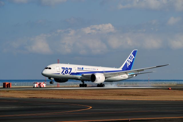 Boeing 787-8 (JA824A)