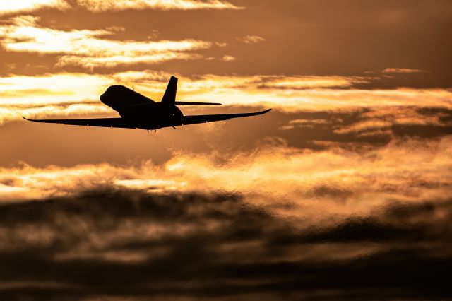 Cessna Citation Latitude (CS-LTE)