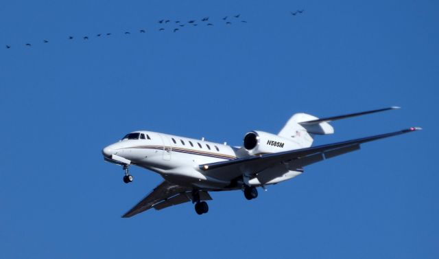 Cessna Citation X (N585M) - On downwind is this 1999 Cessna Citation X in the Winter of 2019.