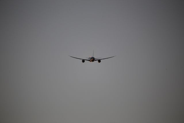 Boeing 787-9 Dreamliner (HL7206)