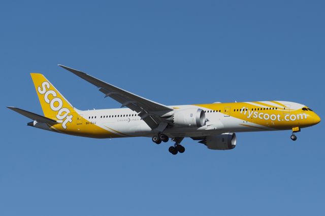 Boeing 787-9 Dreamliner (9V-OJJ) - Boeing 787-9 cn57131 LN849. Scoot 9V-OJJ name "Holyiear" final rwy21 YPPH 12 December 2020.