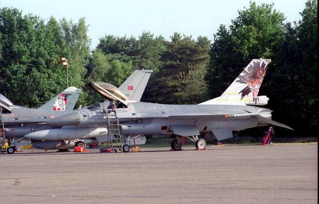 Lockheed F-16 Fighting Falcon (SFR116) - Another special paint of the Belgian Air Force