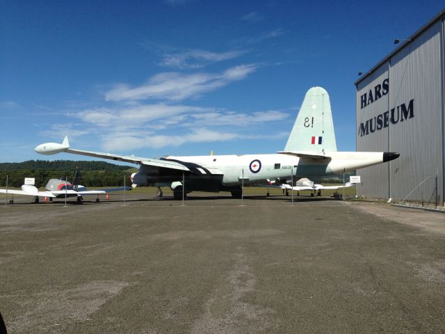 A89281 — - Taken outside of the HARS musuem at Wollongong.This Lockheed Neptune is in need of some restoration.