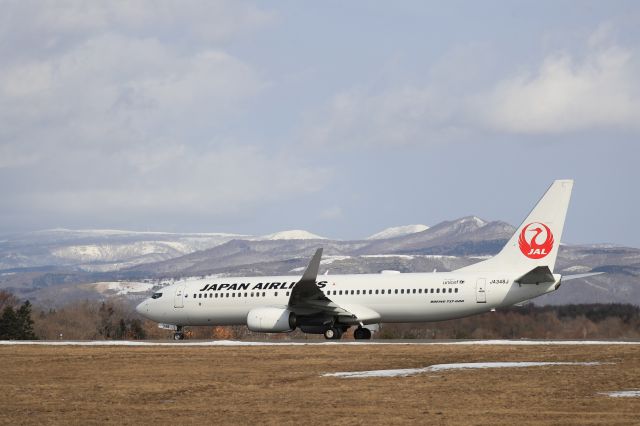 Boeing 737-800 (JA348J) - February 24th 2020:HKD-HND.
