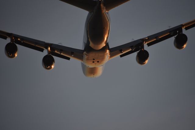 BOEING 747-8 (D-ABYK) - Taken 23 Aug 2019