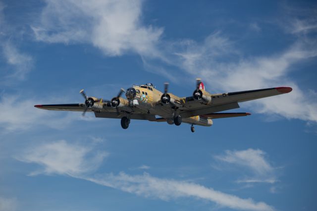 Boeing B-17 Flying Fortress (23-1909) - June 22, 2013 B17 "Nine-O-Nine" about 100 ft.  47.514N 122.289W Boeing Field. Part of the "Wings of Freedom" Tour.  Coming in for a landing.  Canon 5D MkIII:1/400 s; f4.0; ISO100; 70-200mm f2.8L @110.0 mm