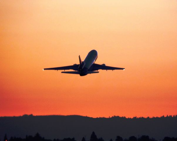 McDonnell Douglas DC-10 (N318FE) - Sunset at PDX.