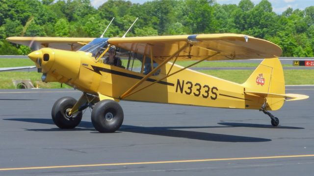 Piper L-21 Super Cub (N333S)