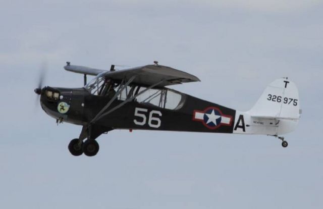 CHAMPION Decathlon (N47185)