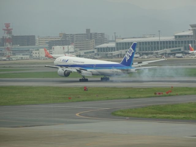 Boeing 777-200 (JA714A) - 福岡空港RW16の着陸機を撮影しました。