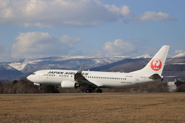 Boeing 737-800 (JA317J) - April 2nd 2022:HKD-HND.