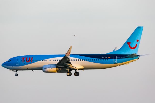 Boeing 737-800 (D-ATUC)