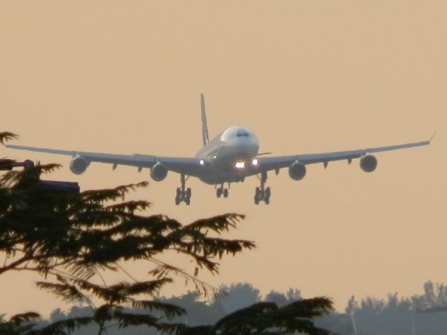 Airbus A340-300 (LV-BIT)