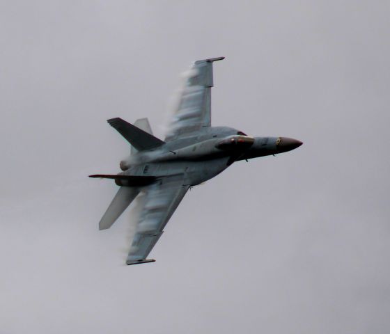 McDonnell Douglas FA-18 Hornet —