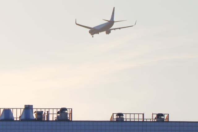 Boeing 737-800 (RA-73266)