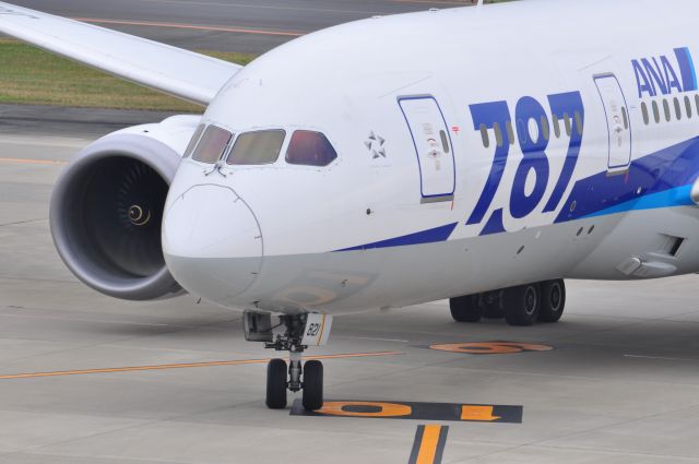 Boeing 787-8 (JA821A)