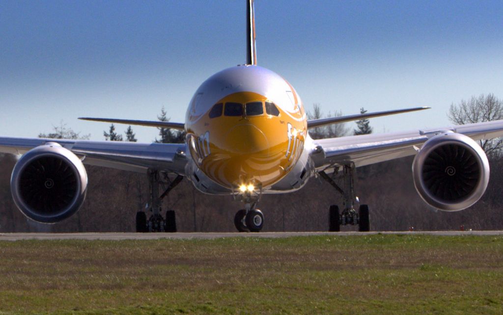 Boeing 787-8 (9V-OJB)