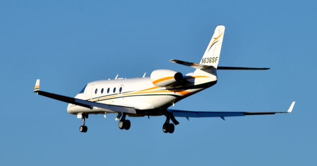 Learjet 31 (N636SF)