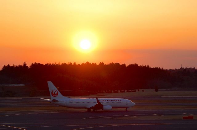 Boeing 737-800 (JA345J)