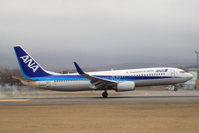 Boeing 737-800 (JA65AN) - April 18th 2020:ITM-HKD.