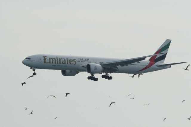 Boeing 777-200 (A6-EPA) - 12 NOV 2015