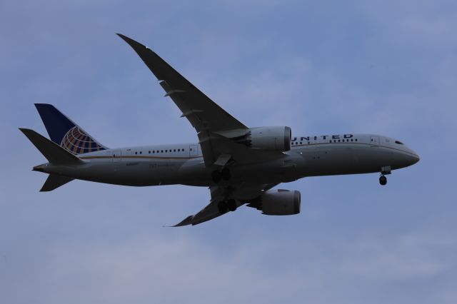 Boeing 787-8 (N29907)
