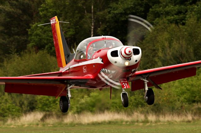 SIAI-MARCHETTI Warrior (BAFST31)