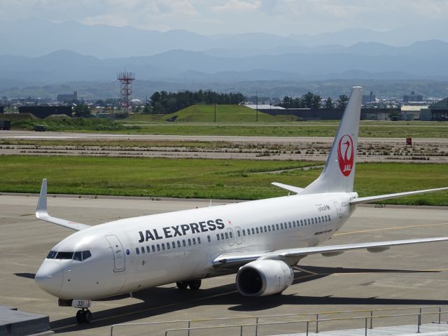 Boeing 737-800 (JA331J)