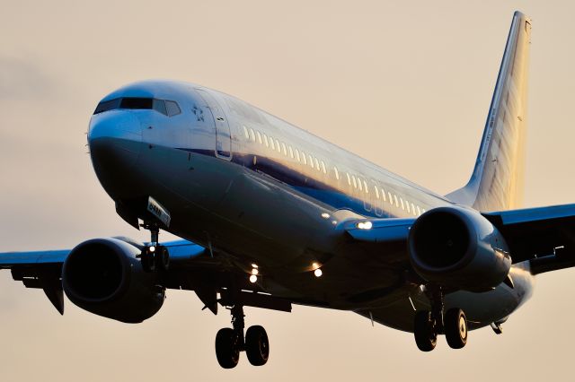 Boeing 737-800 (JA62AN)